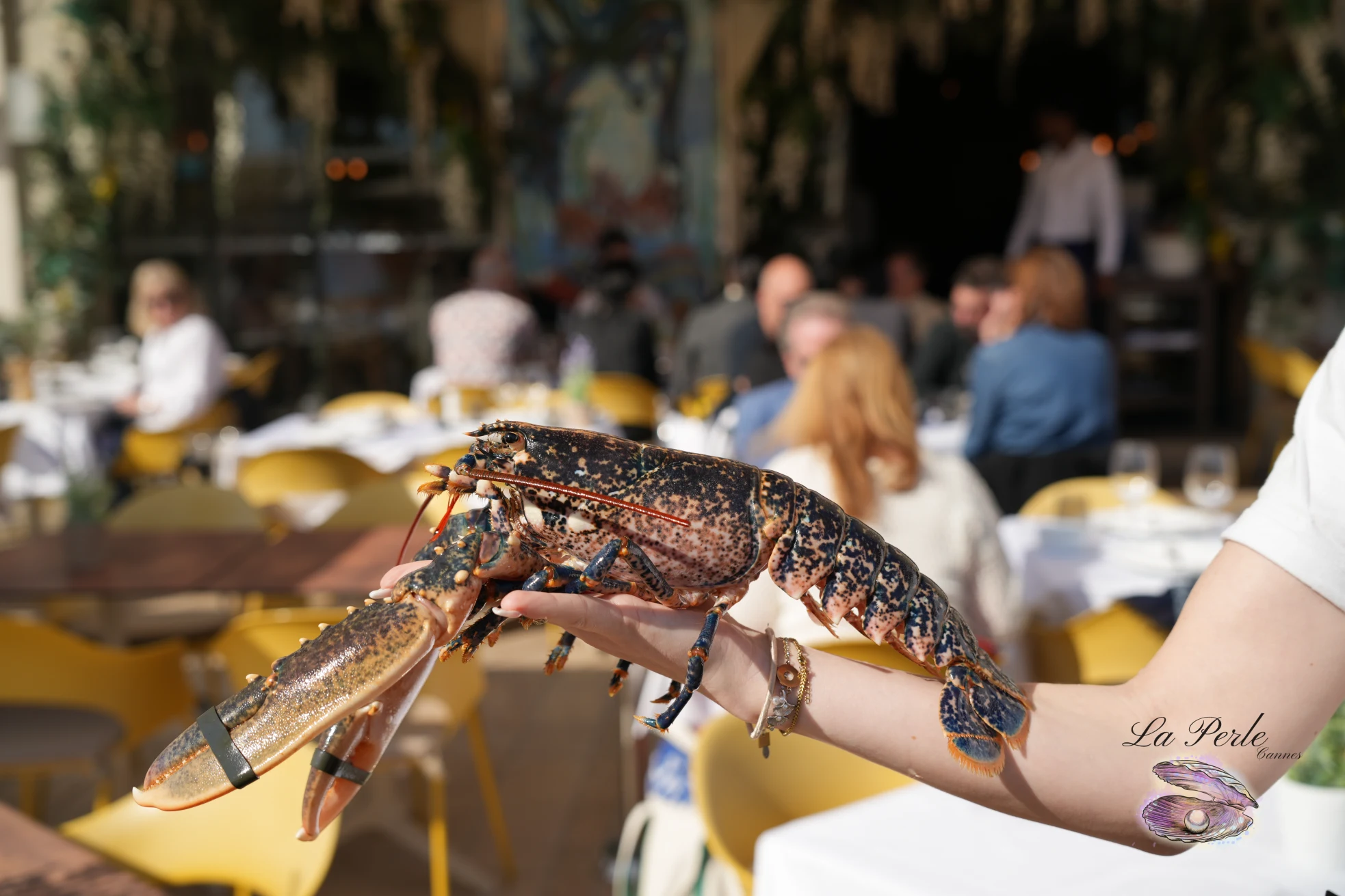 Restaurant La Perle, Cannes, poissons, fruits de mer, crustacés